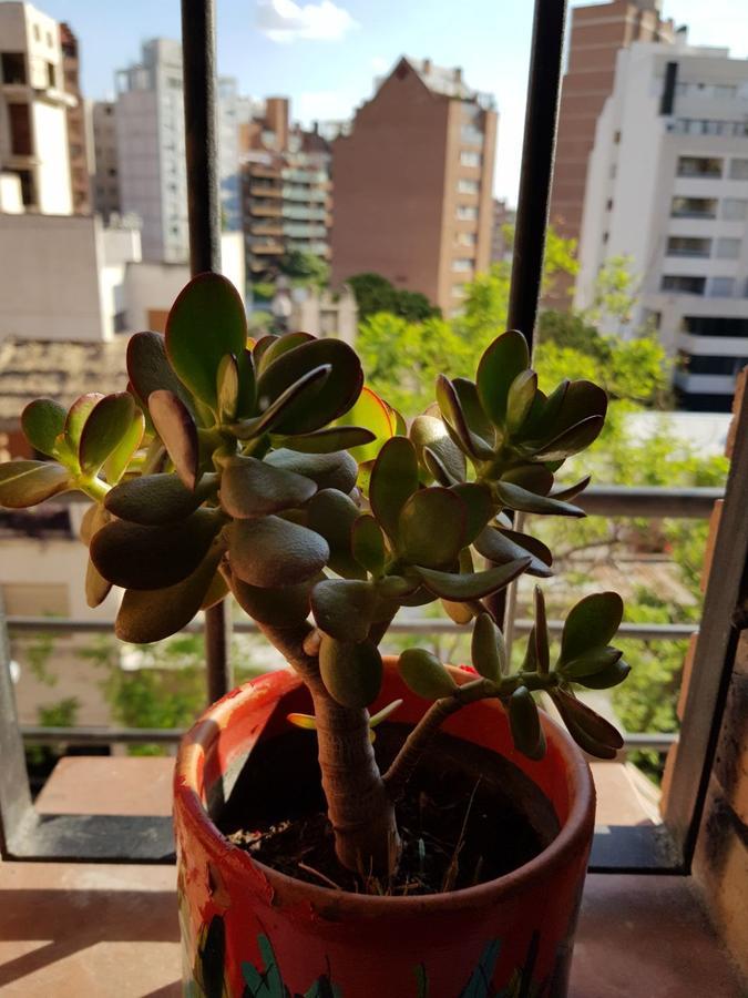 Apartamento Carlucci Córdoba Kültér fotó